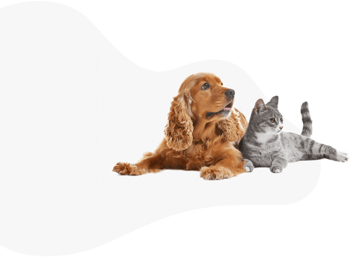 https://www.thecrazydogladies.com/wp-content/uploads/2019/07/hero_image_06.png
